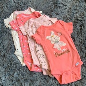 Gerber Onesie Baby Girl Set